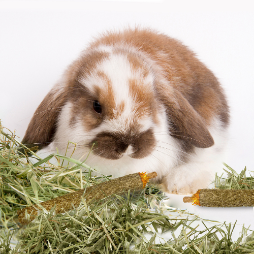 Forti-Diet Timothy Dental Sticks Rabbit